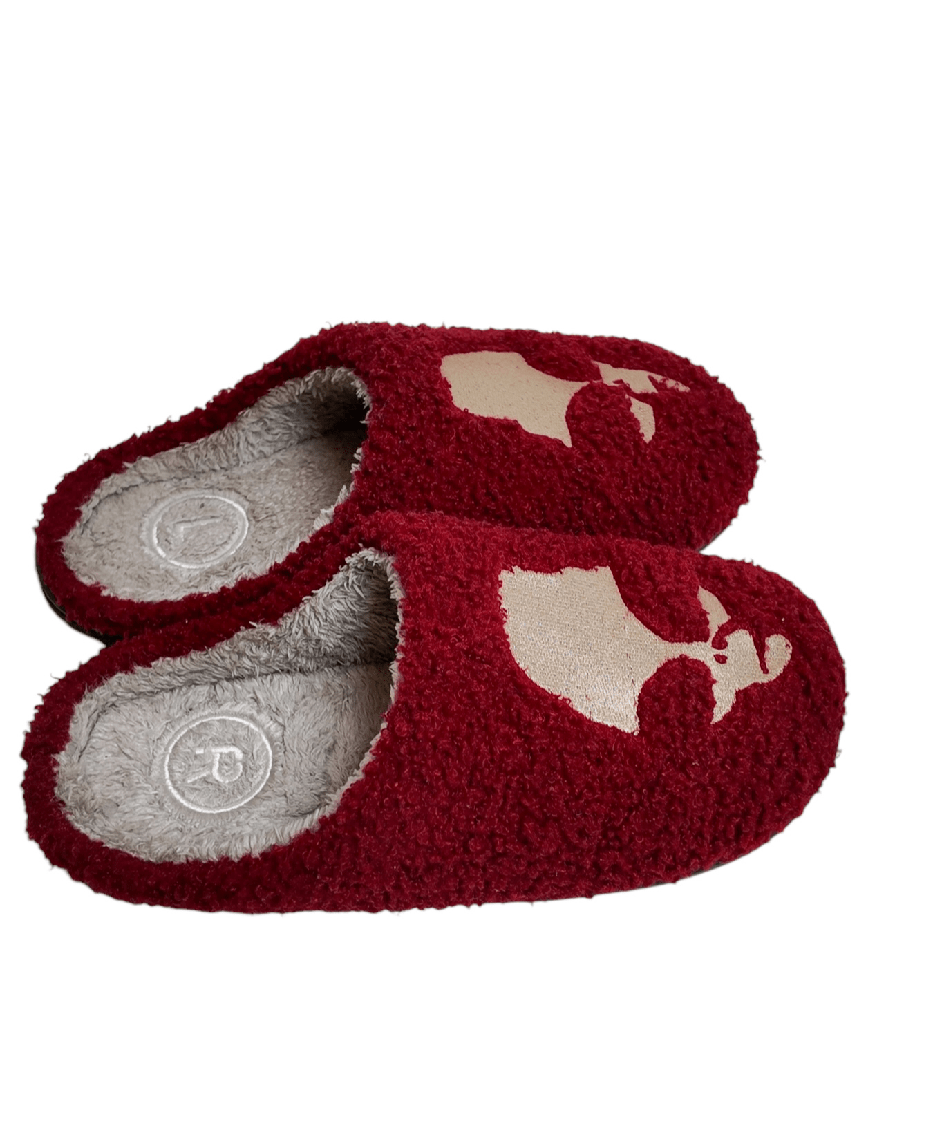 RED ALIEN SLIDES - FARFROMNORMAL